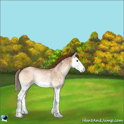 Horse Color:Bay Ice Pearl Onyx Sabino Splash Rabicano 