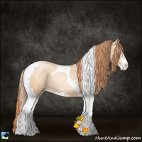 Horse Color:Amber Champagne Pearl Sabino Tobiano 
