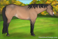 Horse Color:Brown Dun