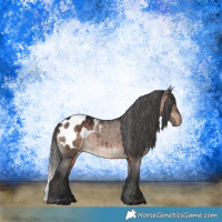 Horse Color:Brown Dun Blanket Brindle 