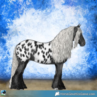 Horse Color:Liver Chestnut Ice Mushroom Appaloosa Rabicano 