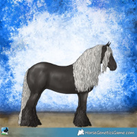 Horse Color:Liver Chestnut Mushroom 