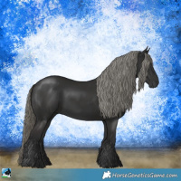 Horse Color:Liver Chestnut Mushroom Rabicano