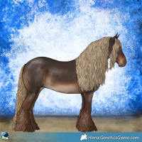 Horse Color:Liver Chestnut Rabicano 