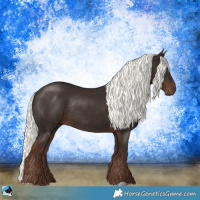 Horse Color:Liver Chestnut Mushroom Rabicano 