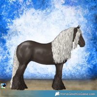 Horse Color:Liver Chestnut Mushroom Rabicano 