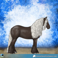 Horse Color:Liver Chestnut Mushroom 