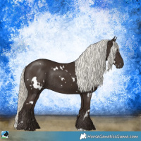 Horse Color:White Spotted Liver Chestnut Mushroom Rabicano 