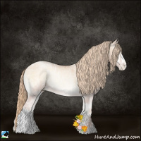 Horse Color:Gold Champagne Ice Pearl Onyx Rabicano 