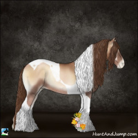 Horse Color:Liver Red Onyx Pearl Tobiano Rabicano 
