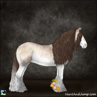 Horse Color:Liver Red Onyx Ice Pearl Splash Rabicano 