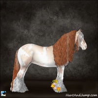 Horse Color:White Spotted Classic Champagne Pearl Onyx Rabicano 