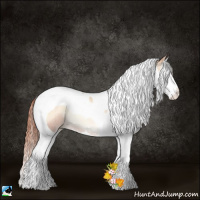 Horse Color:Classic Champagne Pearl Onyx Splash Tobiano Rabicano