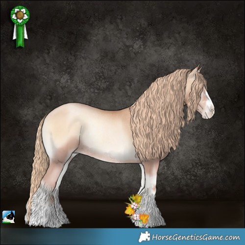 Horse Color:Gold Champagne Pearl Onyx Rabicano 