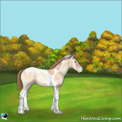 Horse Color:Gold Champagne Pearl Onyx Tobiano Rabicano 