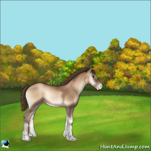 Horse Color:Liver Red Onyx Pearl 