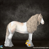Horse Color:Gold Champagne Pearl Onyx Splash Tobiano Rabicano 