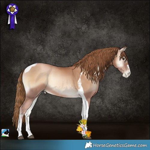 Horse Color:Red Onyx Pearl Tobiano 