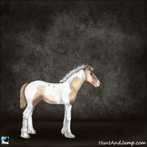 Horse Color:Liver Red Onyx Pearl Tobiano 