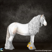 Horse Color:Gold Champagne Pearl Onyx Splash Tobiano Rabicano