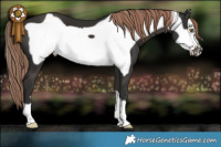 Horse Color:Liver Chestnut Frame 