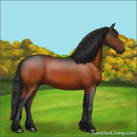 Horse Color:Bay Rabicano 