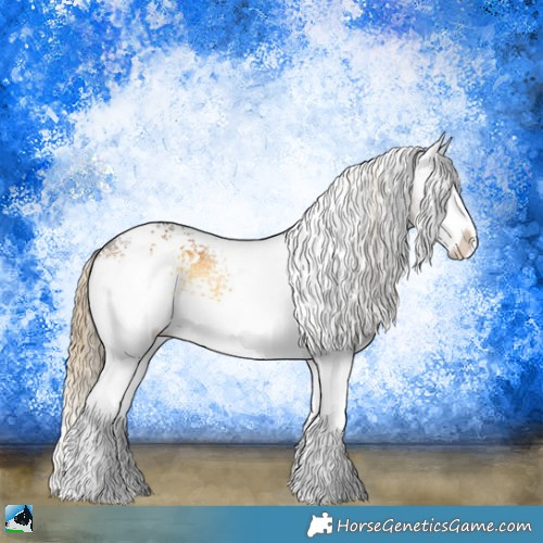 Horse Color:White Spotted Chocolate Palomino Onyx Sabino Splash Rabicano