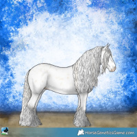 Horse Color:White Spotted Cremello Onyx Sabino Rabicano