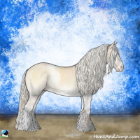 Horse Color:White Spotted Cremello Onyx Sabino Rabicano