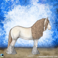 Horse Color:Perlino Ice Onyx Sabino Rabicano 