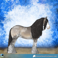 Horse Color:Smoky Grullo Ice Onyx Sabino Rabicano 
