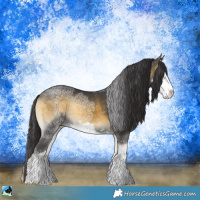 Horse Color:Buckskin Ice Onyx Sabino Rabicano 