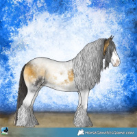 Horse Color:Buckskin Onyx Sabino Rabicano 