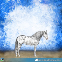 Horse Color:White Spotted Blue Onyx Ice Appaloosa 
