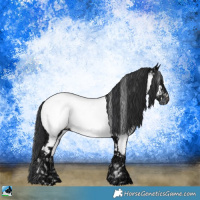 Horse Color:Black Ice Near Fewspot 