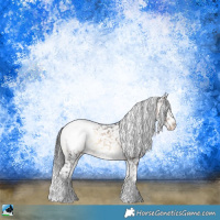 Horse Color:Brown Onyx Appaloosa Rabicano 