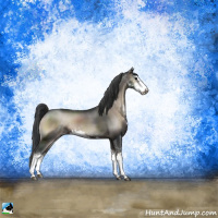 Horse Color:Blue Onyx Sabino Rabicano 