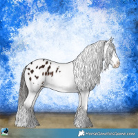 Horse Color:Liver Chestnut Ice Appaloosa 