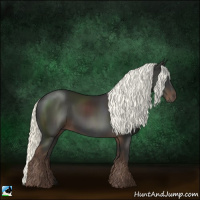 Horse Color:Liver Chestnut Mushroom 