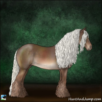 Horse Color:Liver Chestnut Mushroom 