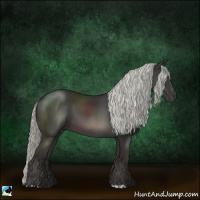Horse Color:Liver Chestnut Mushroom 