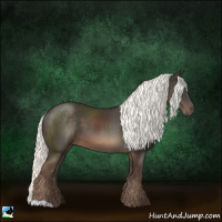 Horse Color:Liver Chestnut Mushroom 