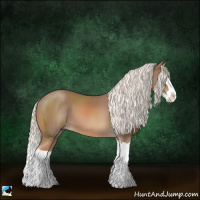 Horse Color:Chestnut Mushroom Splash 