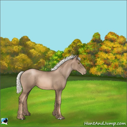 Horse Color:Liver Chestnut Pearl Mushroom 