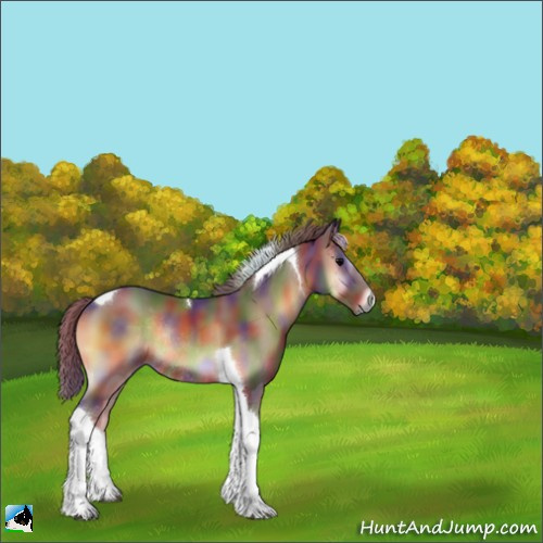 Horse Color:Nacre Chocolate Smoky Blue Onyx Tobiano Rabicano 