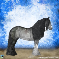 Horse Color:Brown Chinchilla Ice Rabicano 