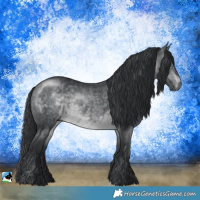 Horse Color:Brown Chinchilla Rabicano 