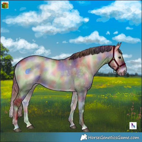 Horse Color:Nacre Chocolate Brown Onyx 