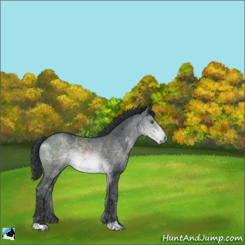 Horse Color:Brown Chinchilla Rabicano 