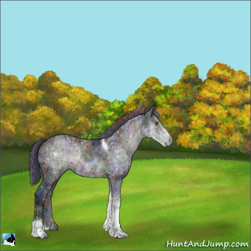 Horse Color:Nacre Brown Chinchilla Ice Tobiano Rabicano 